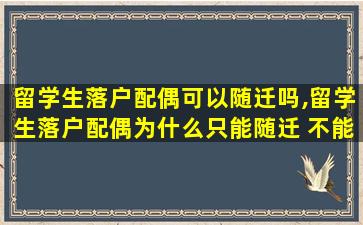 留学生落户配偶可以随迁吗,留学生落户配偶为什么只能随迁 不能随调